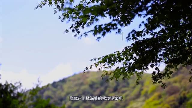 大厨教你分解鱼、鱼片上浆技巧，讲解详细，保证又白又嫩Q弹爽滑游戏画面